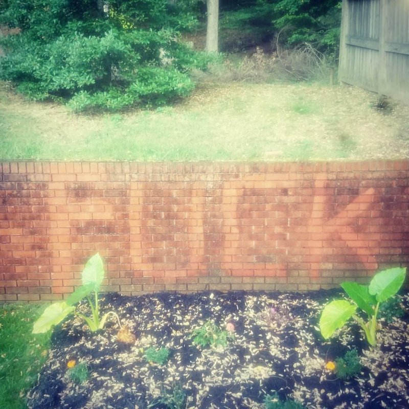 How I feel about cancer (and maybe pressure washing) 